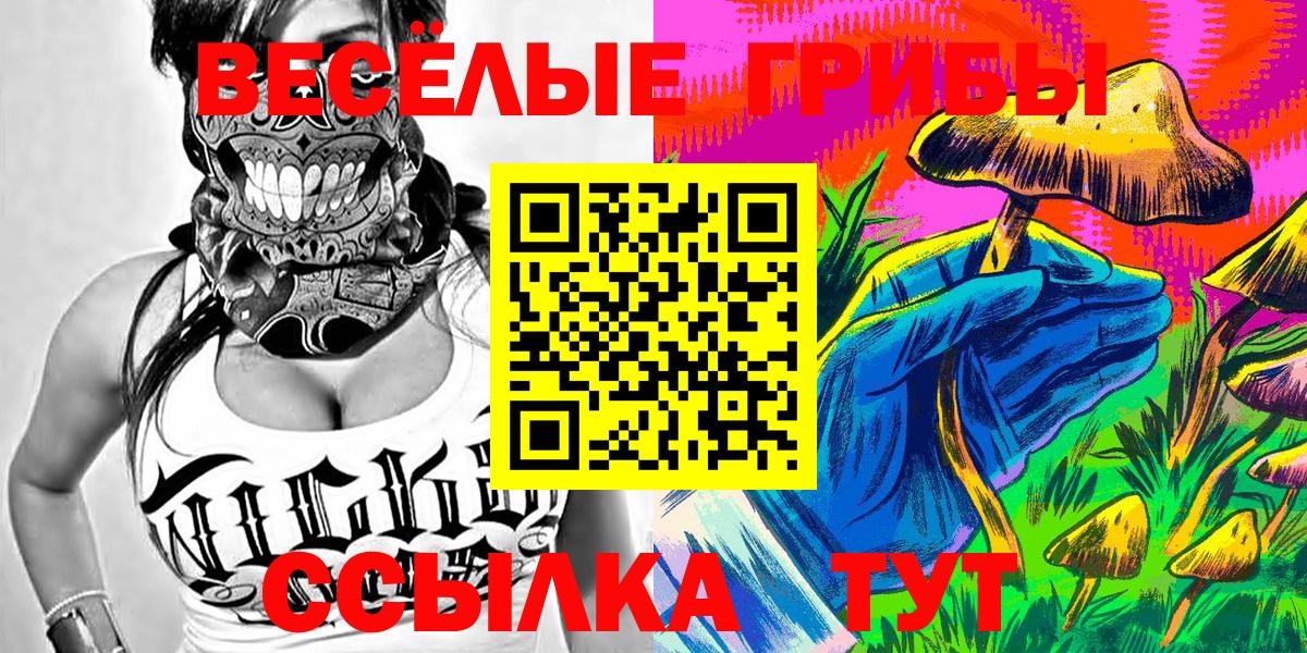 Галлюциногенные грибы Psilocybe Назрань