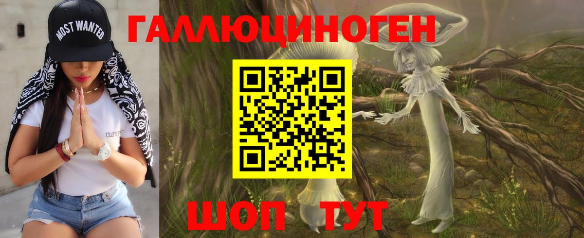 что такое   Вход с VPN  Назрань  Галлюциногенные грибы Magic Shrooms 